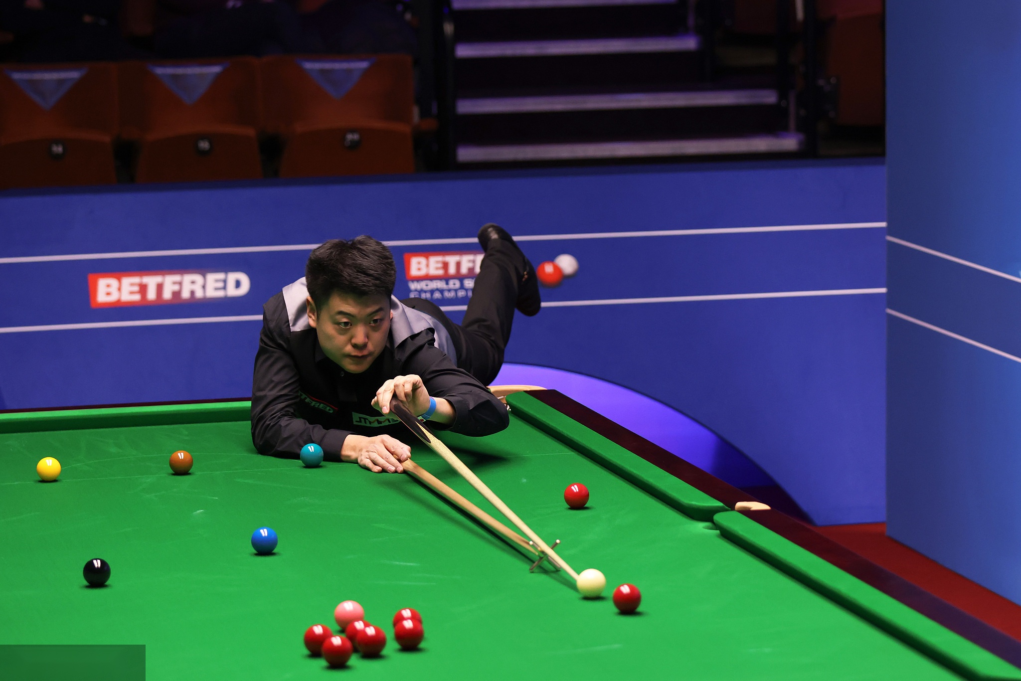 的成就归功 的成就归功