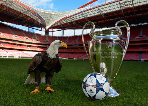 受力与氛围 受力与氛围